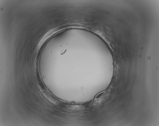 X0000083010151200702231821