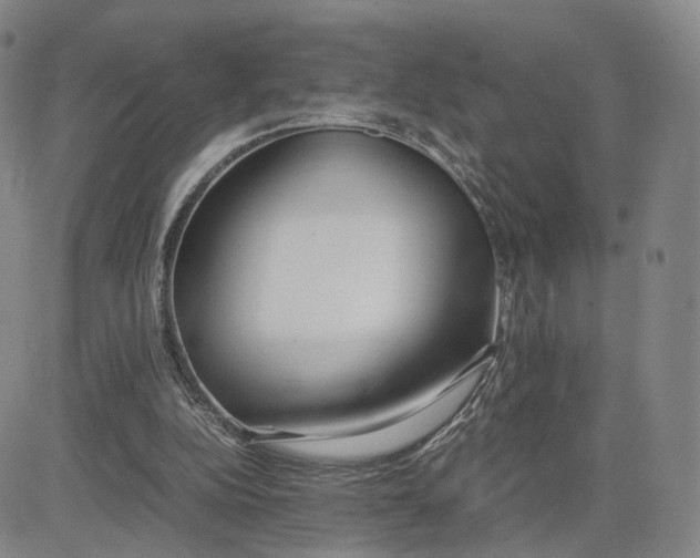 X0000083010152200702231821