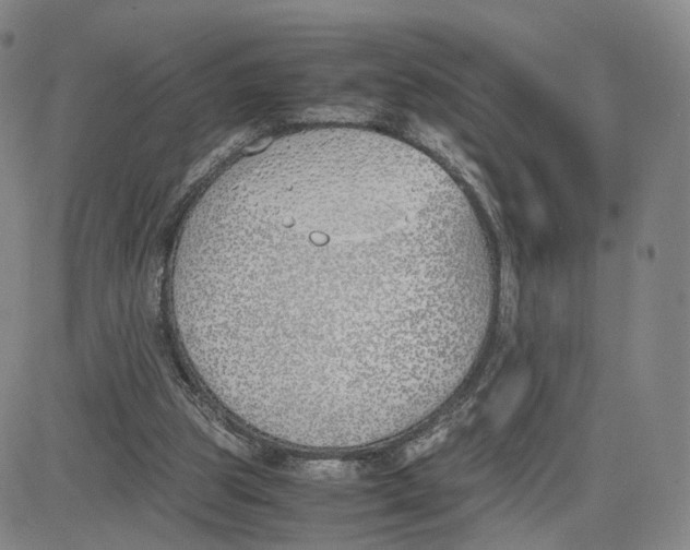 X0000083010153200702231821