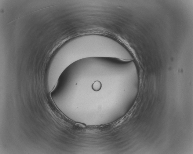 X0000083010154200702231821