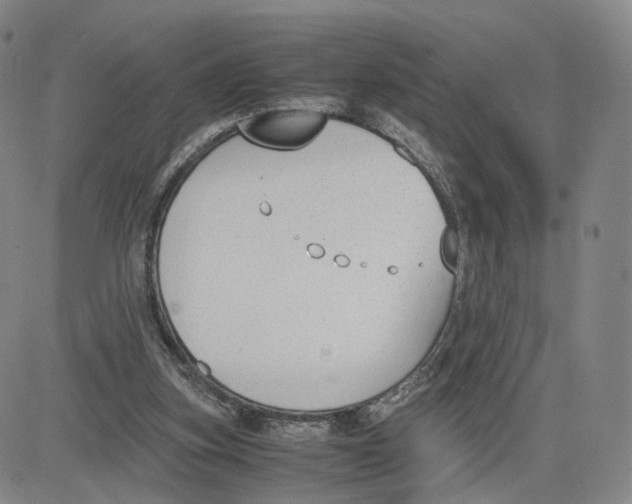 X0000083010155200702231821