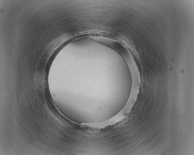 X0000083010156200702231821