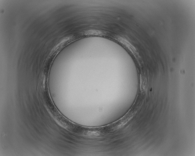 X0000083010157200702231821