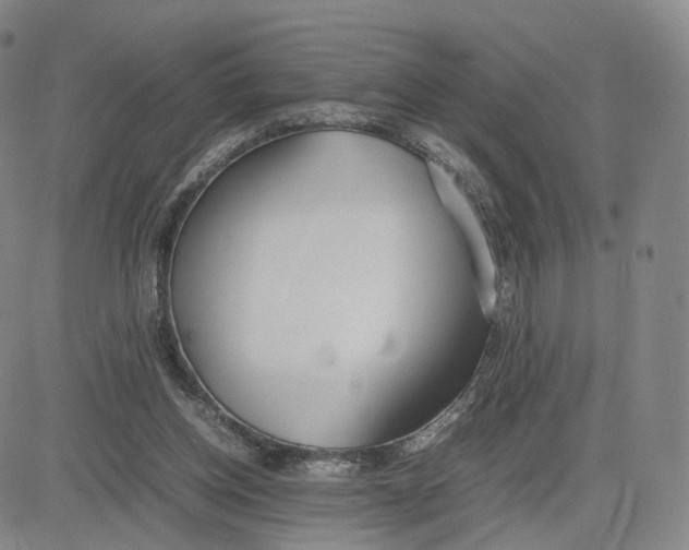 X0000083010158200702231821