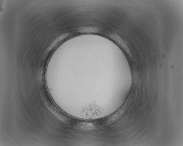 X0000083010159200702231821