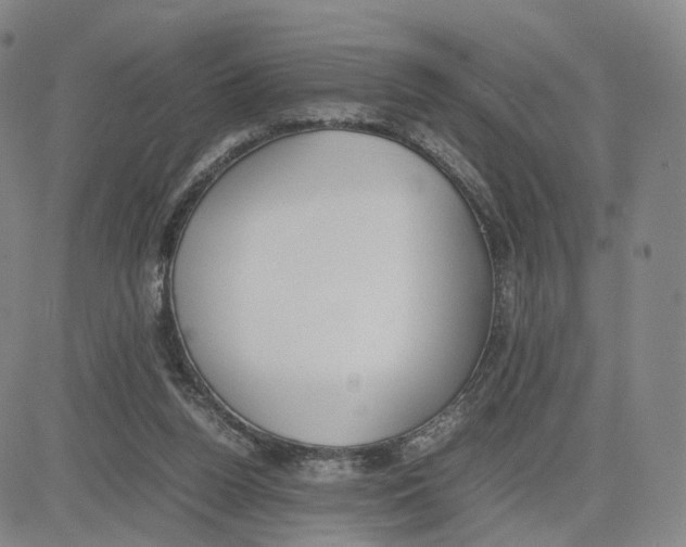 X0000083010160200702231821