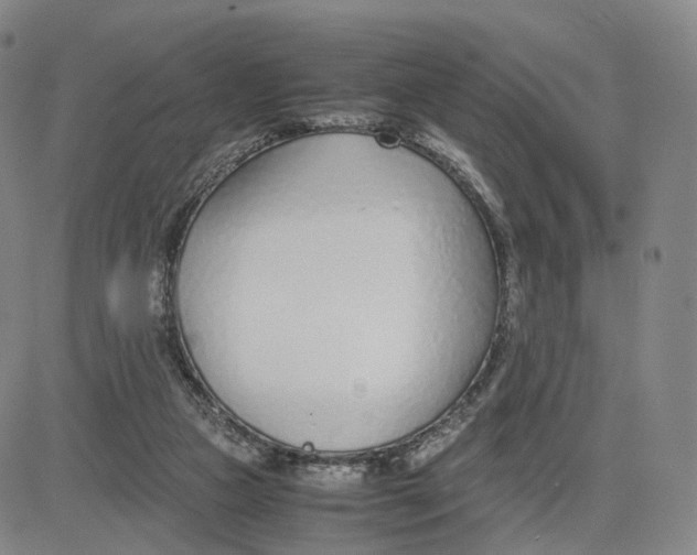 X0000083010161200702231821