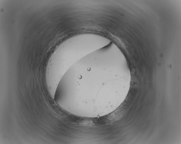 X0000083010162200702231821