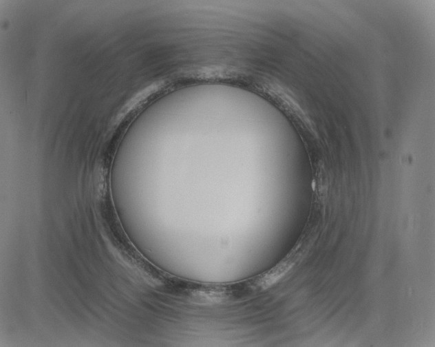 X0000083010164200702231821