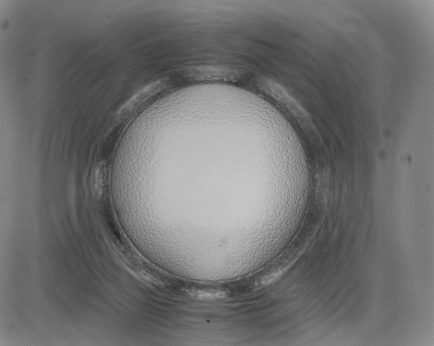 X0000083010165200702231821