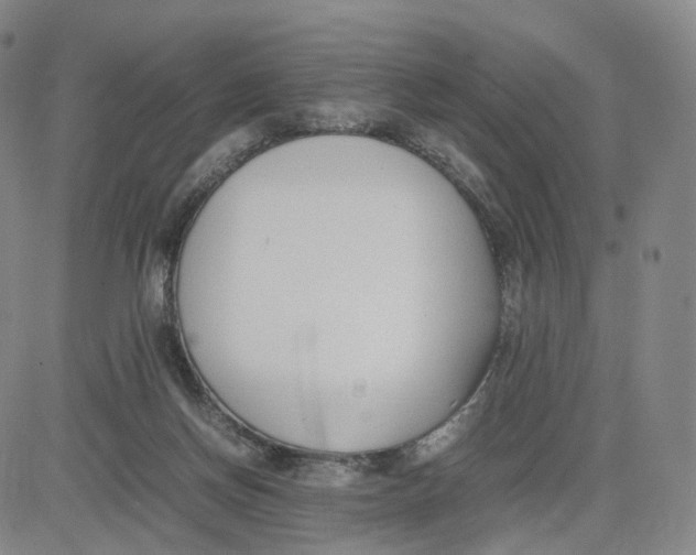 X0000083010166200702231821