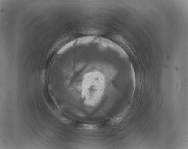 X0000083010167200702231821