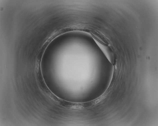 X0000083010168200702231821