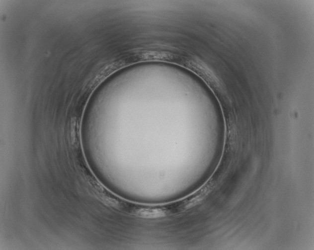 X0000083010169200702231821