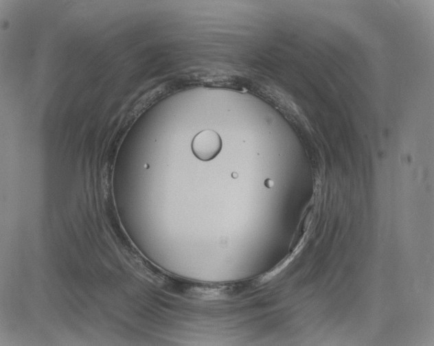 X0000083010170200702231821