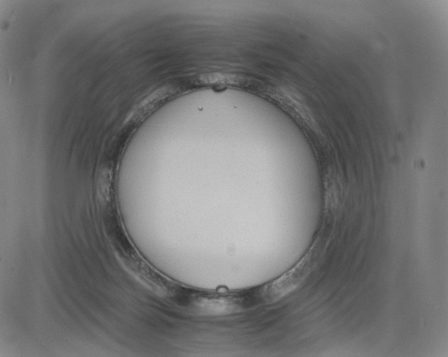 X0000083010171200702231821