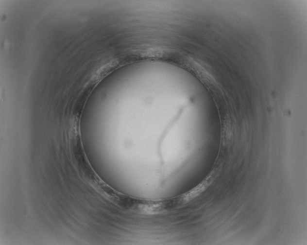 X0000083010172200702231821