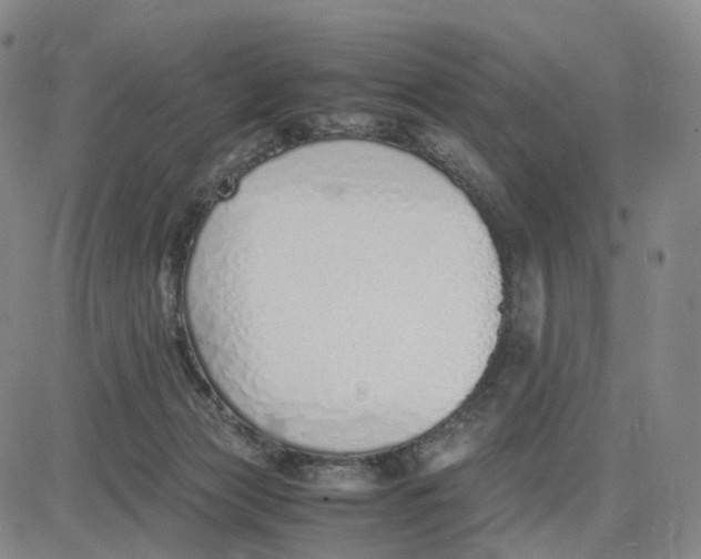 X0000083010173200702231821