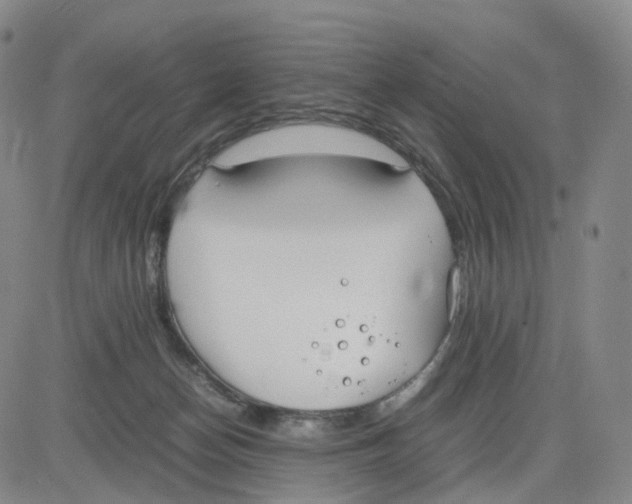 X0000083010174200702231821