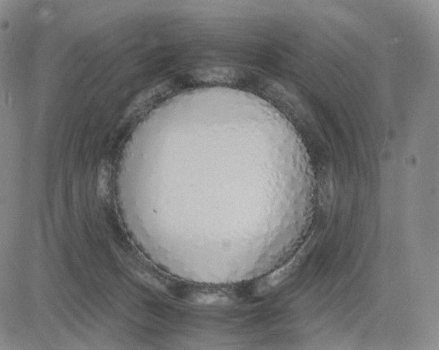 X0000083010175200702231821