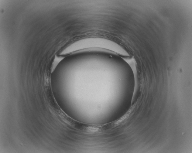 X0000083010176200702231821