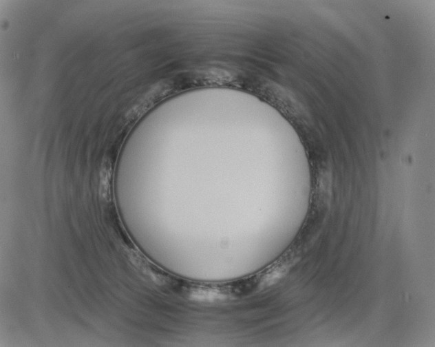 X0000083010177200702231821