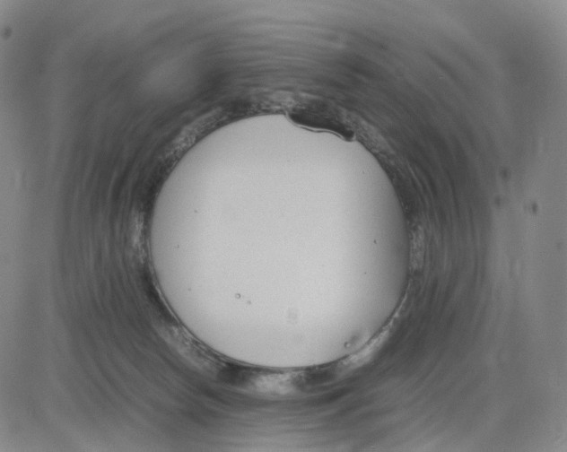 X0000083010178200702231821