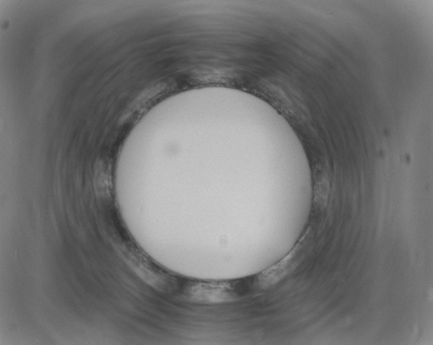 X0000083010179200702231821