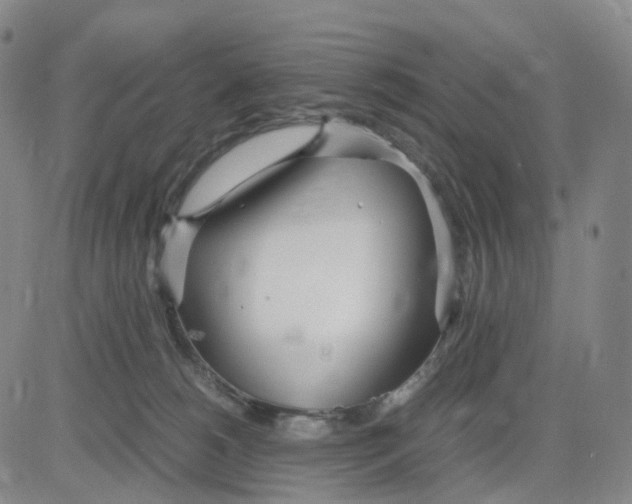 X0000083010180200702231821