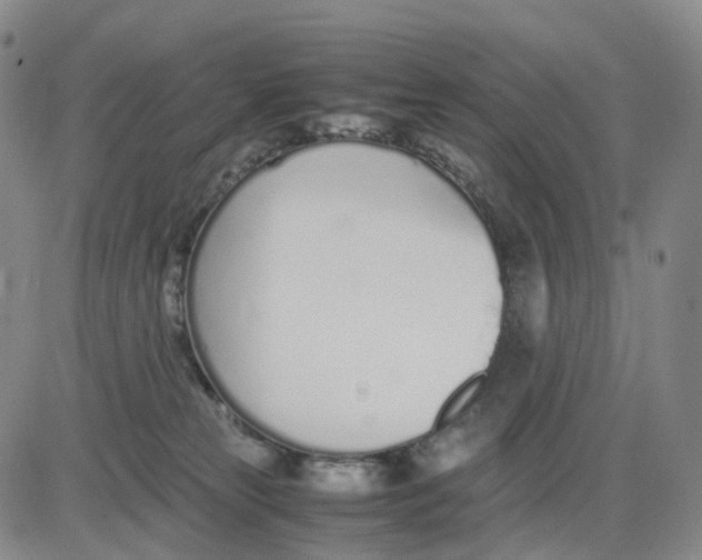 X0000083010181200702231822