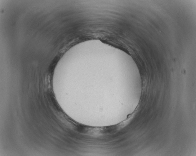 X0000083010182200702231822