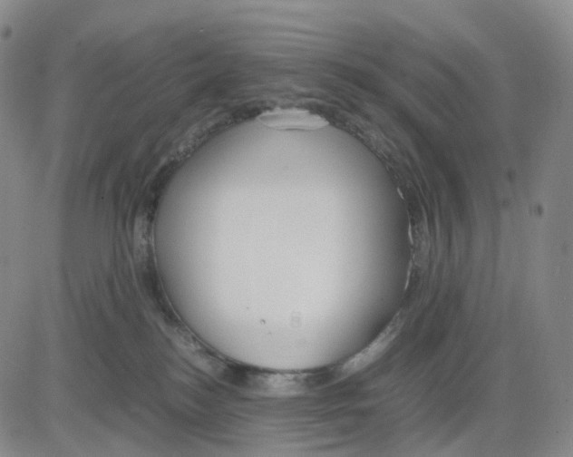 X0000083010184200702231822