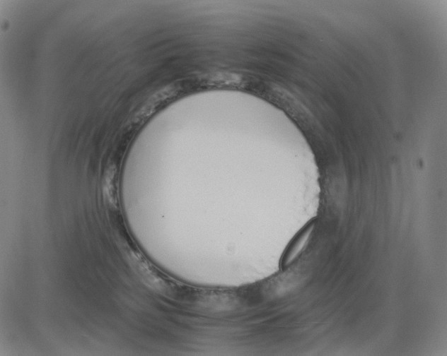 X0000083010185200702231822