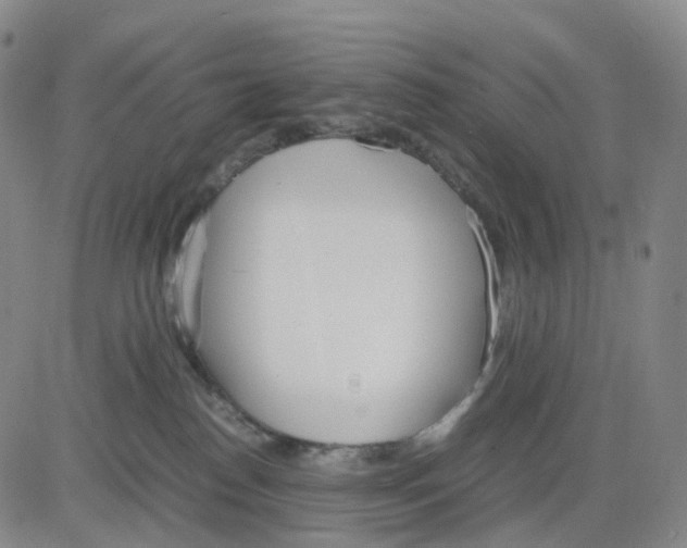 X0000083010186200702231822