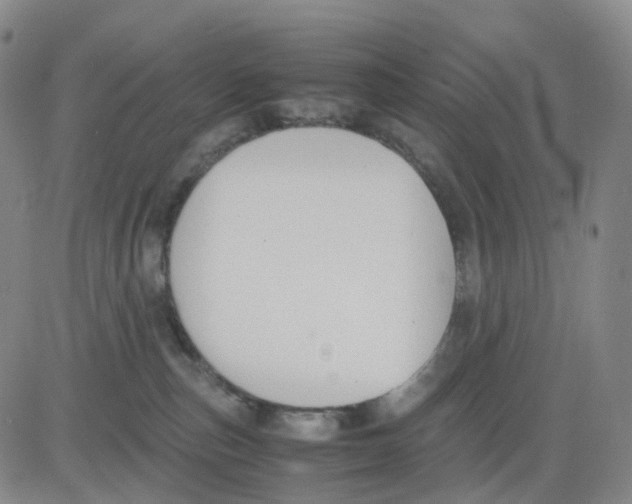 X0000083010187200702231822