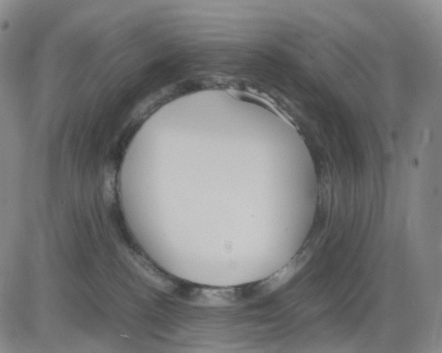 X0000083010188200702231822