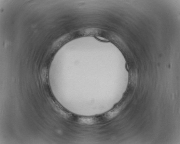 X0000083010189200702231822