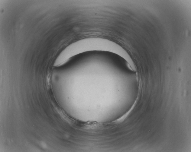 X0000083010190200702231822