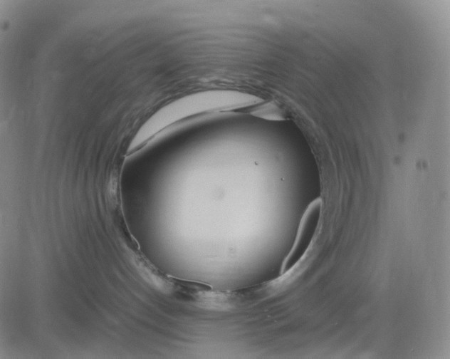 X0000083010192200702231822