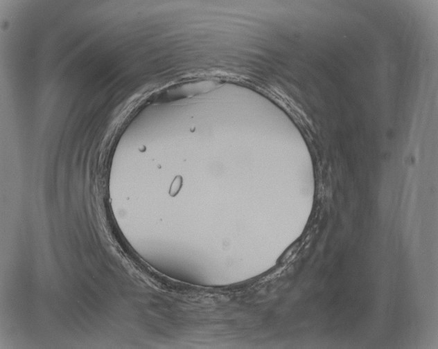 X0000083010193200702231821