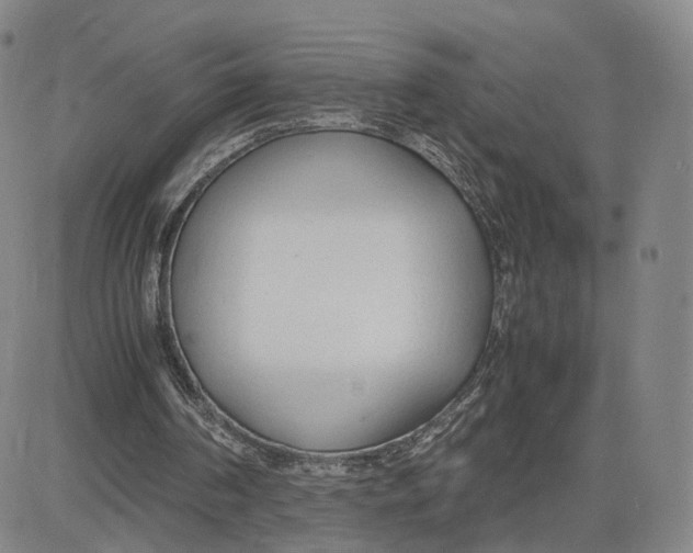 X0000083010194200702231821