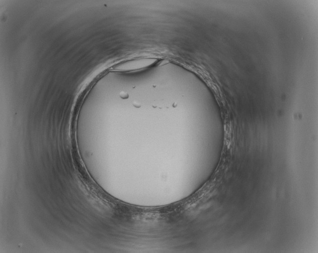 X0000083010196200702231821