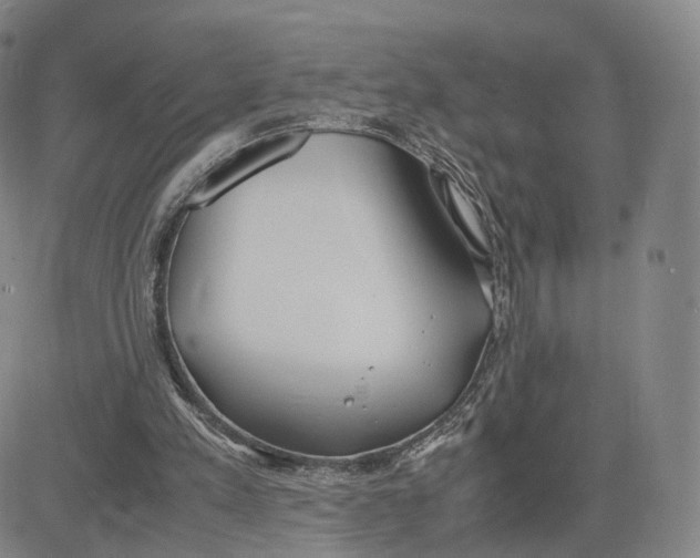 X0000083010197200702231821