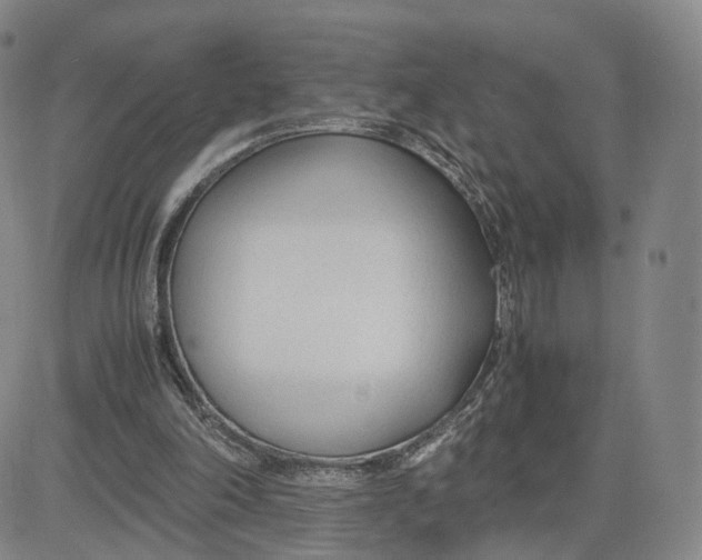 X0000083010198200702231821