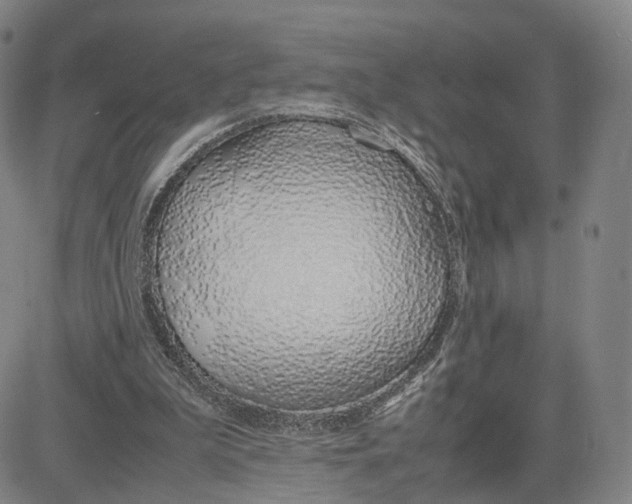 X0000083010199200702231821