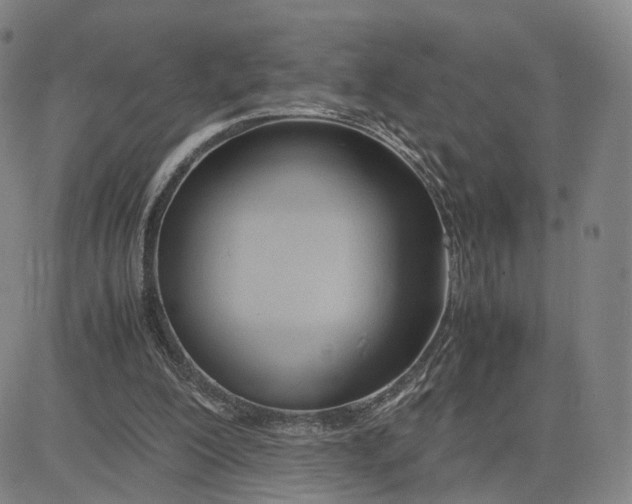 X0000083010200200702231821