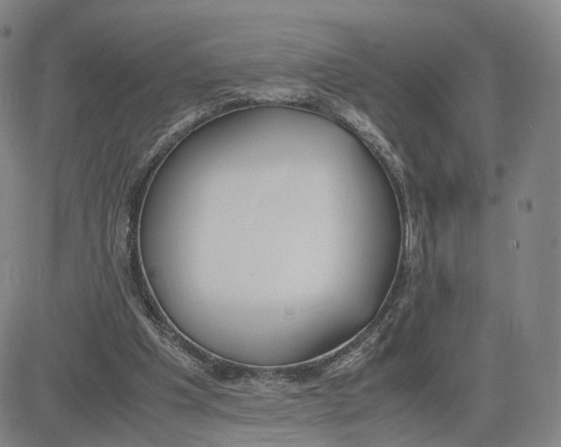 X0000083010201200702231821