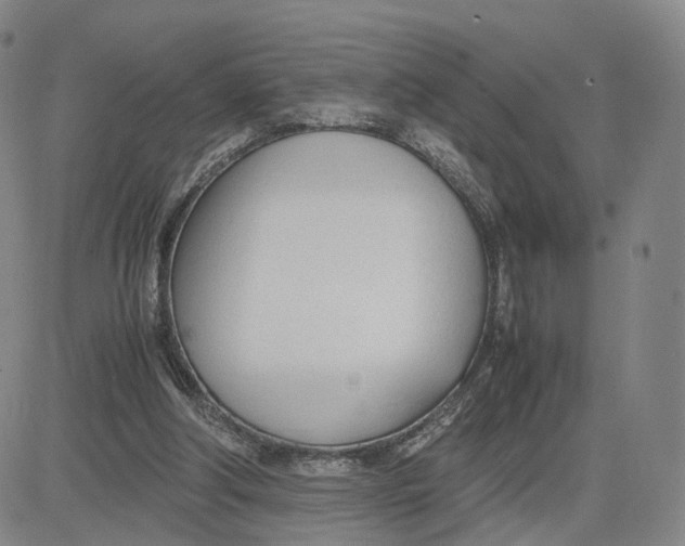 X0000083010202200702231821