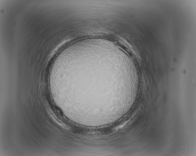 X0000083010203200702231821