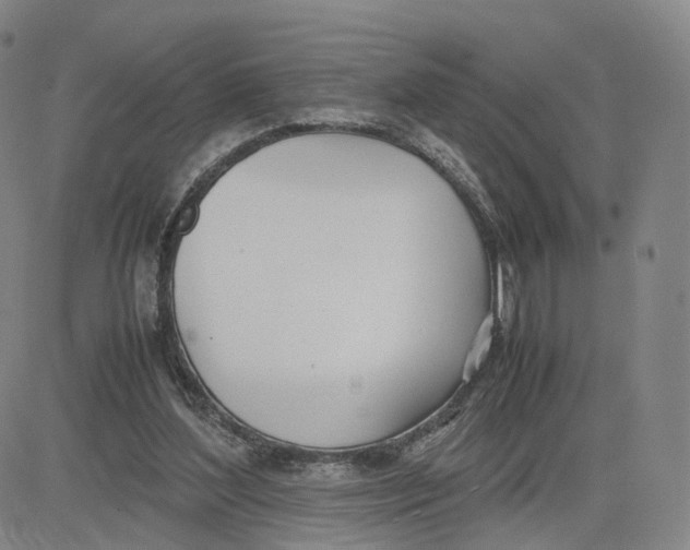 X0000083010204200702231821